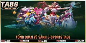 Tổng quan sảnh cược thể thao e-sport